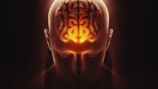 Your brain is not built for multitasking: Neurologist explains what it does to attention span Your brain is not built for multitasking: Neurologist explains what it does to attention span