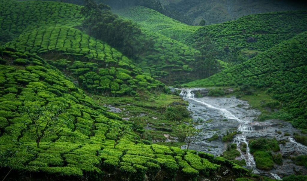 plan your july trip irctc budget tour package