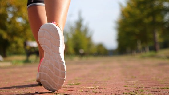 5 Skechers shoes that are perfect for daily walks with detailed analysis and their fit profiles 5 Skechers shoes that are perfect for daily walks with detailed analysis and their fit profiles
