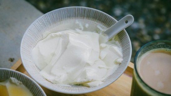 Discarding the watery layer that sits on top of your yoghurt? Gastroenterologist explains why you shouldn’t Discarding the watery layer that sits on top of your yoghurt? Gastroenterologist explains why you shouldn’t