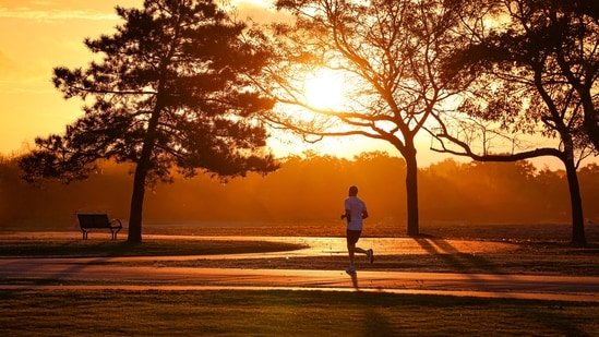Going on a vacation? Fitness coach Raj Ganpath shares 5 simple strategies to stay fit and in shape while travelling Going on a vacation? Fitness coach Raj Ganpath shares 5 simple strategies to stay fit and in shape while travelling