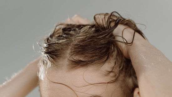 How to keep your scalp healthy during monsoon? Dermatologist Dr Pravin Bandokar shares 5 haircare tips to follow How to keep your scalp healthy during monsoon? Dermatologist Dr Pravin Bandokar shares 5 haircare tips to follow