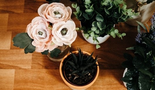 I love sprucing up my space with artificial plants to add some much-needed greenery; here are 8 favourites I’d recommend I love sprucing up my space with artificial plants to add some much-needed greenery; here are 8 favourites I’d recommend