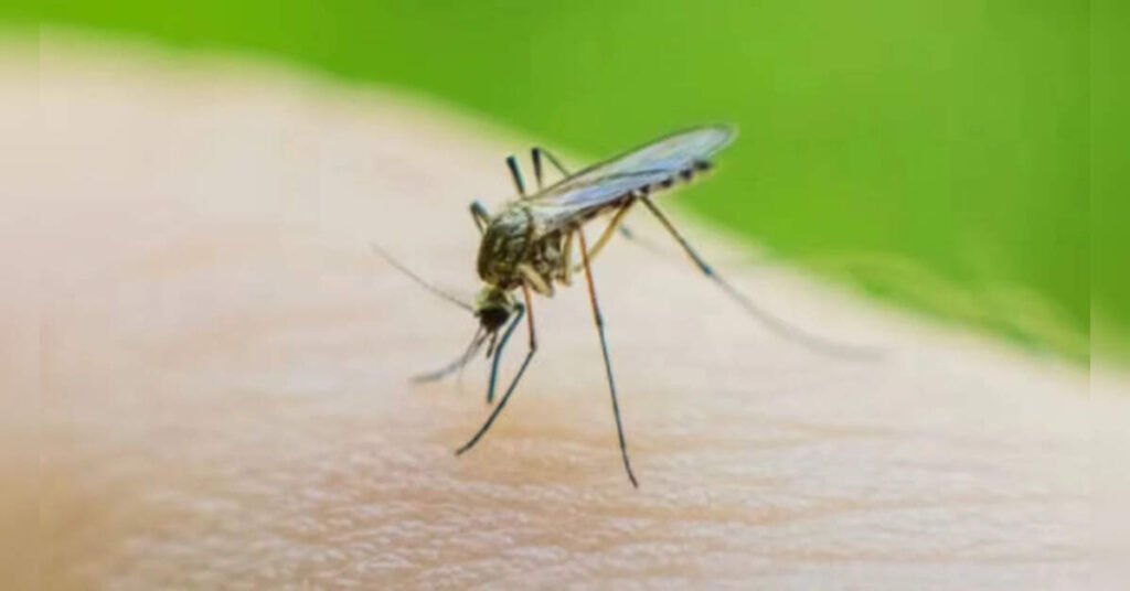 Indian scientists may have found a way to stop malaria, ETHealthworld