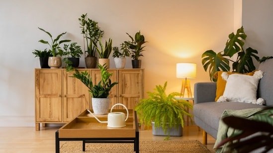 Is your home damp and dull during the monsoon? Check these tips to keep your interiors fresh and comfortable Is your home damp and dull during the monsoon? Check these tips to keep your interiors fresh and comfortable