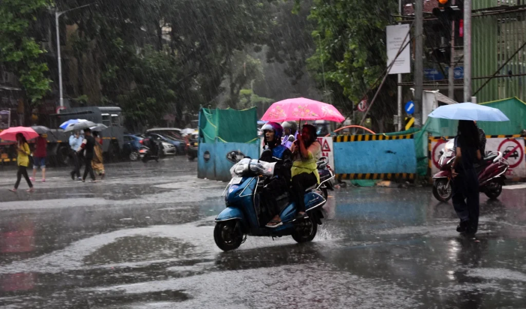 Odisha Weather Alert: 5 जिलों में मूसलाधार बारिश का Red Alert, IMD ने जारी की चेतावनी Odisha Weather Alert: 5 जिलों में मूसलाधार बारिश का Red Alert, IMD ने जारी की चेतावनी