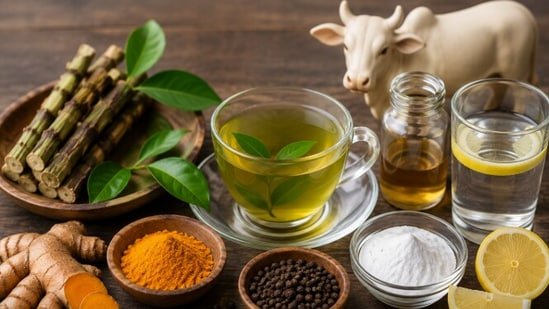 Oncologist gives cow urine ‘minus 10’ for cancer, rates Giloy, turmeric, green tea and other popular remedies Oncologist gives cow urine ‘minus 10’ for cancer, rates Giloy, turmeric, green tea and other popular remedies