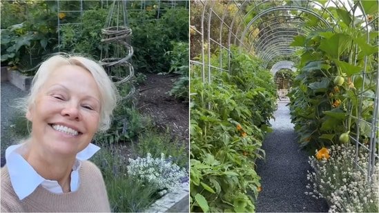 Pamela Anderson gives tour of her thriving vegetable garden at Vancouver Island home filled with roses and fresh produce Pamela Anderson gives tour of her thriving vegetable garden at Vancouver Island home filled with roses and fresh produce