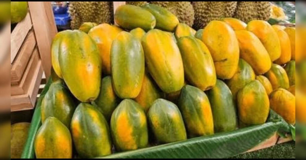 Tata Memorial Hospital’s Papaya Leaf Extract Study Faces Scrutiny Over Platelet Boost Claims, ETHealthworld Tata Memorial Hospital’s Papaya Leaf Extract Study Faces Scrutiny Over Platelet Boost Claims, ETHealthworld