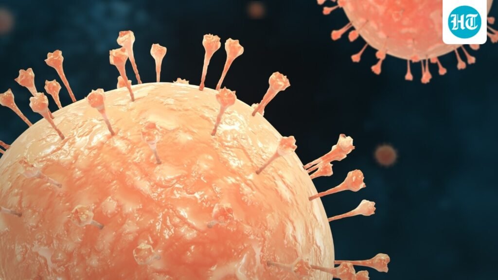 WHO says 3.8 billion people have herpes and most don’t even know it: What that means for your sexual health, symptoms WHO says 3.8 billion people have herpes and most don’t even know it: What that means for your sexual health, symptoms