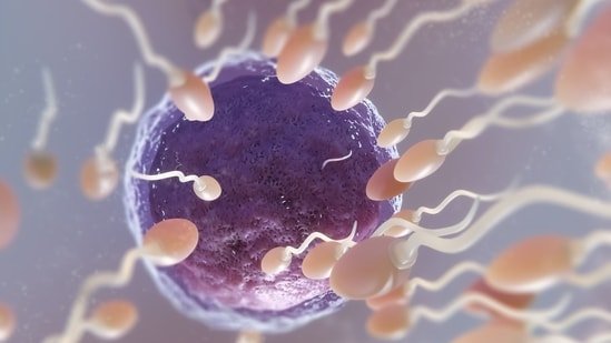 Want to freeze your eggs? Fertility expert shares how long you can keep your eggs frozen Want to freeze your eggs? Fertility expert shares how long you can keep your eggs frozen