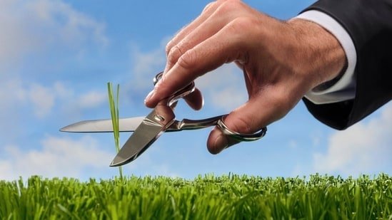 Why White-Collar Men Are Obsessed With the Perfect Lawn Why White-Collar Men Are Obsessed With the Perfect Lawn