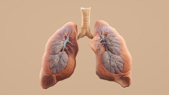 Why are more non-smokers getting lung cancer? Pulmonologist Dr Harshil Alwani breaks down the hidden risk factors Why are more non-smokers getting lung cancer? Pulmonologist Dr Harshil Alwani breaks down the hidden risk factors