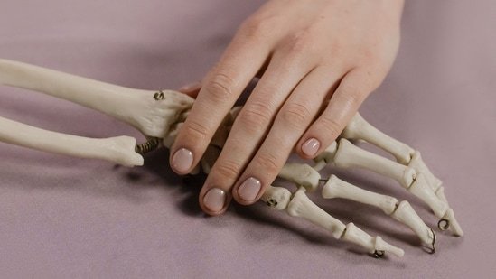 Why bone health is not just about calcium: Orthopaedic consultant Dr Rohit Jain shares what every adult needs to know Why bone health is not just about calcium: Orthopaedic consultant Dr Rohit Jain shares what every adult needs to know