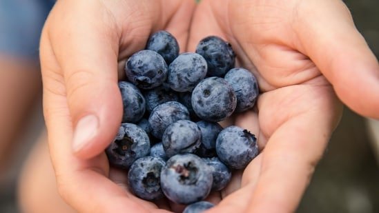 World Brain Day 2026: Neurosurgeon recommends brain-friendly foods to improve cognitive functions, from curd to berries World Brain Day 2026: Neurosurgeon recommends brain-friendly foods to improve cognitive functions, from curd to berries