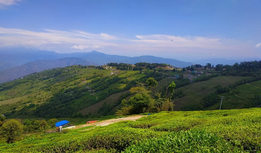 landslide threat during monsoon these hill stations best for safe journey read our travel tips landslide threat during monsoon these hill stations best for safe journey read our travel tips
