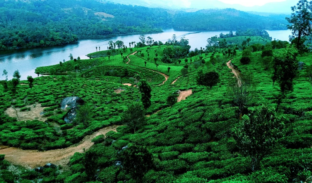 4 must visit indian destinations for august long weekend