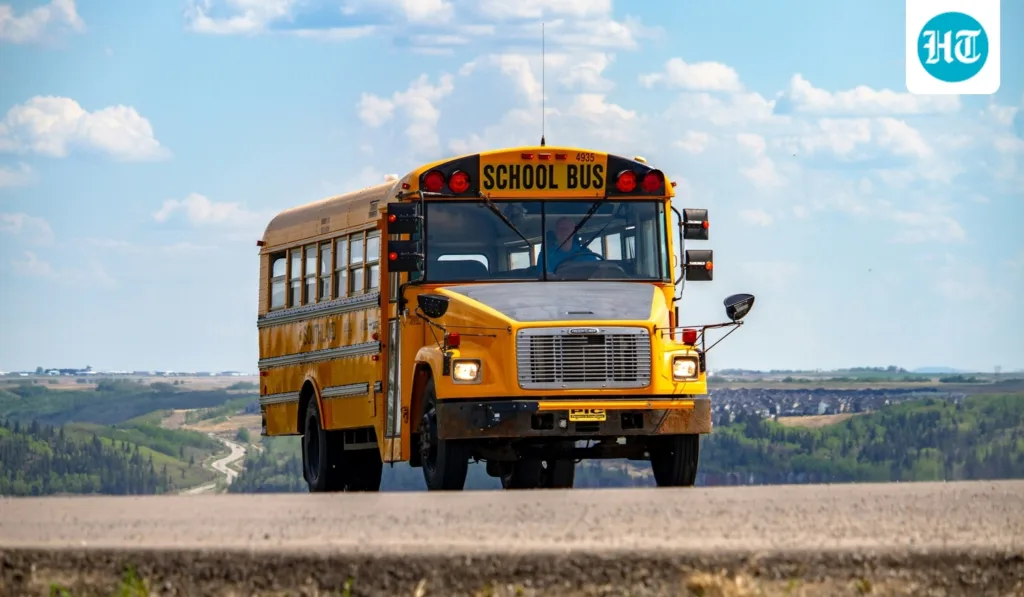 Everyday explained: Why are school buses always painted yellow?
