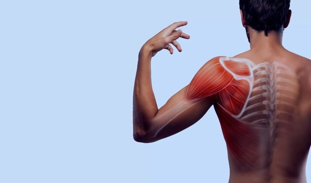 Health Tips: Left Arm Pain के पीछे छिपे हैं ये 5 बड़े कारण, जानें कब है Heart Disease और कब मामूली मोच Health Tips: Left Arm Pain के पीछे छिपे हैं ये 5 बड़े कारण, जानें कब है Heart Disease और कब मामूली मोच