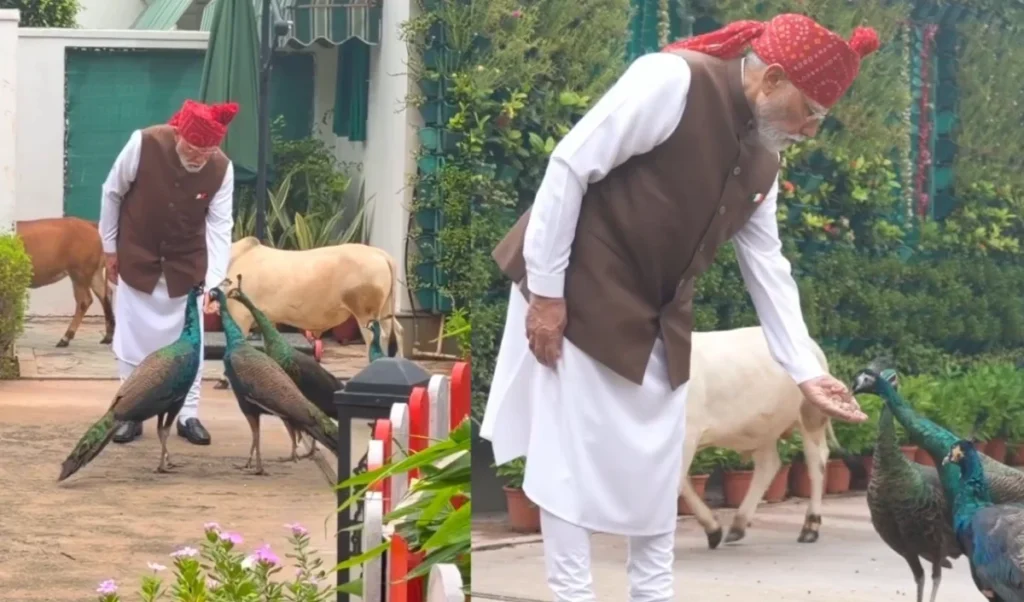 PM Modi का नया इंस्टाग्राम वीडियो वायरल, जानवरों के साथ उनके खास लगाव की लोग कर रहे तारीफ PM Modi का नया इंस्टाग्राम वीडियो वायरल, जानवरों के साथ उनके खास लगाव की लोग कर रहे तारीफ