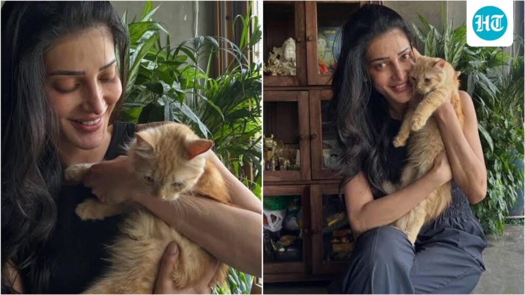 Shruti Haasan puts beloved Persian cat up for adoption after severe allergies: ‘One of the hardest decisions of my life’ Shruti Haasan puts beloved Persian cat up for adoption after severe allergies: ‘One of the hardest decisions of my life’