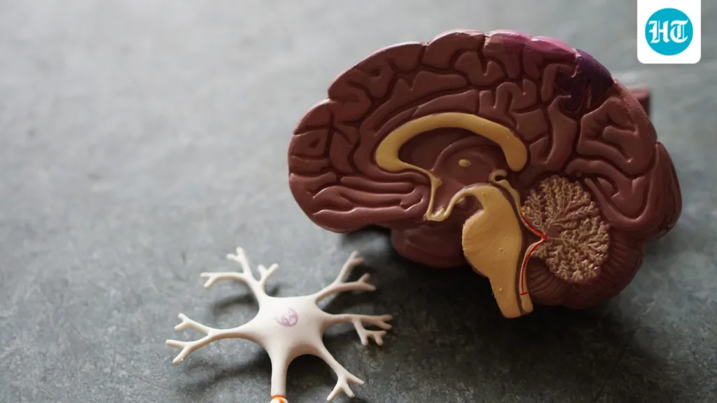 Want to protect your brain as you age? Neurologist Dr Arun Shah shares 3 lifestyle changes that may lower dementia risk Want to protect your brain as you age? Neurologist Dr Arun Shah shares 3 lifestyle changes that may lower dementia risk