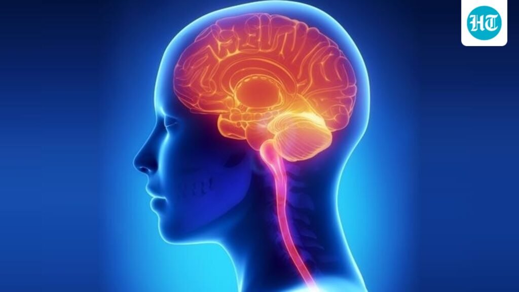 What does addiction do to the brain? Counselling psychologist Sarah Hatwalne shares 6 recovery tips that help in healing