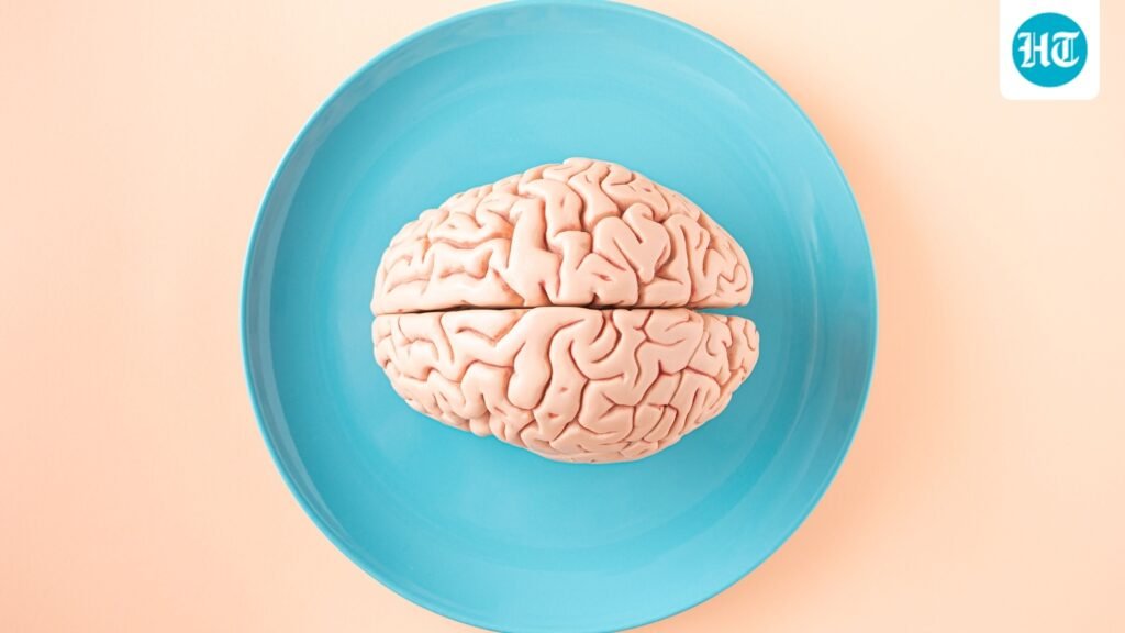 Which nutrients are essential for brain function? Neurologist Dr Rahul Chawla lists 5 and shares their food sources Which nutrients are essential for brain function? Neurologist Dr Rahul Chawla lists 5 and shares their food sources
