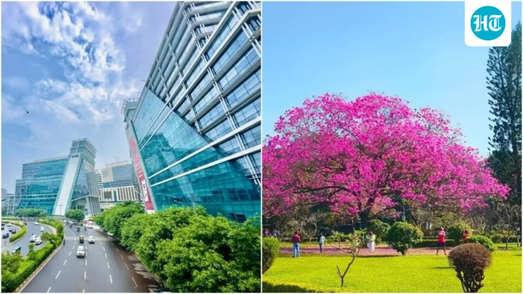 Woman gets honest about moving to Bengaluru from Gurgaon for work: ‘You start enjoying the absolute freedom of…’ Woman gets honest about moving to Bengaluru from Gurgaon for work: ‘You start enjoying the absolute freedom of…’