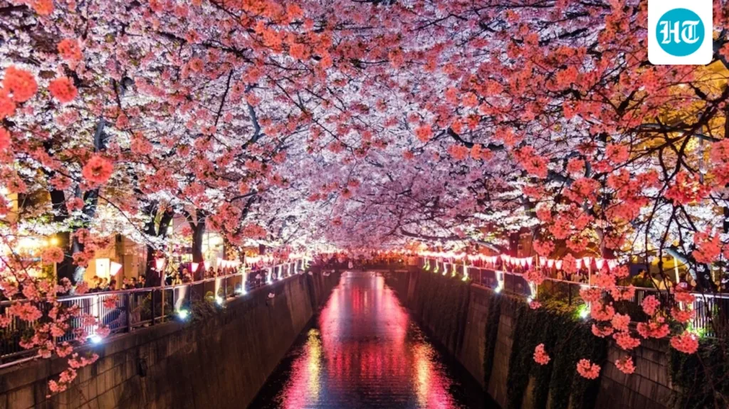 World Photography Day 2026: 7 picture-perfect global destinations to add to your travel bucket list World Photography Day 2026: 7 picture-perfect global destinations to add to your travel bucket list
