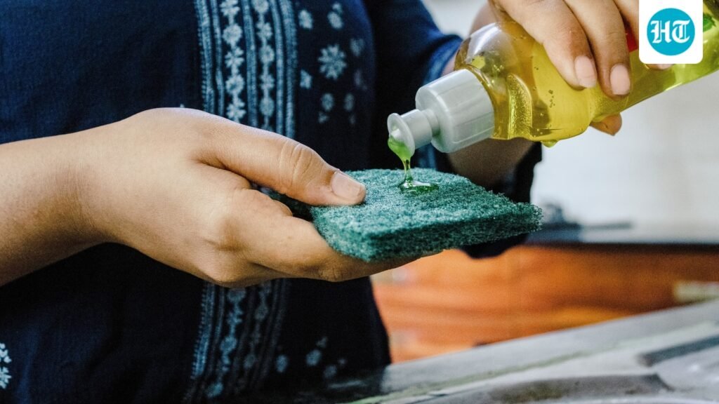 ‘Kitchen sponges have more bacteria than your toilet’: Food safety officer shares when to replace, how to keep it clean ‘Kitchen sponges have more bacteria than your toilet’: Food safety officer shares when to replace, how to keep it clean