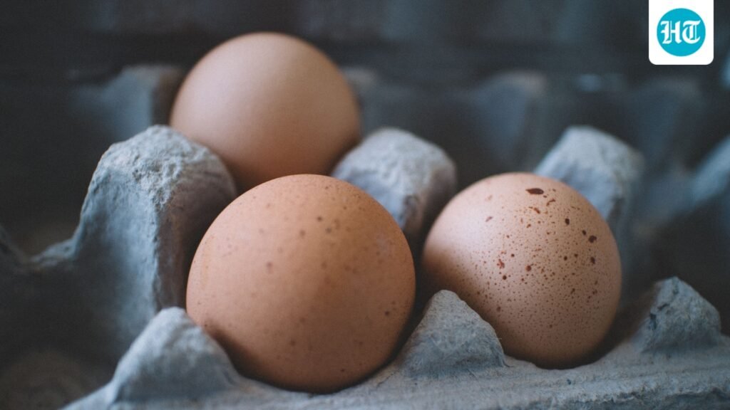 ‘Stop storing eggs like this’: Food safety officer reveals right way to store them; common mistakes that spoil eggs ‘Stop storing eggs like this’: Food safety officer reveals right way to store them; common mistakes that spoil eggs