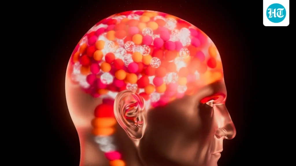 Did you know probiotics can improve cognition? Physician explains how and shares other brain boosters Did you know probiotics can improve cognition? Physician explains how and shares other brain boosters