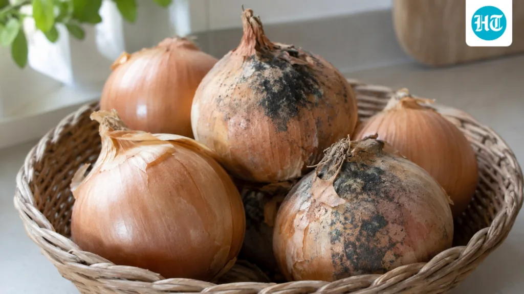 Everyday Explained: What are the black spots on onions, and can you eat them?