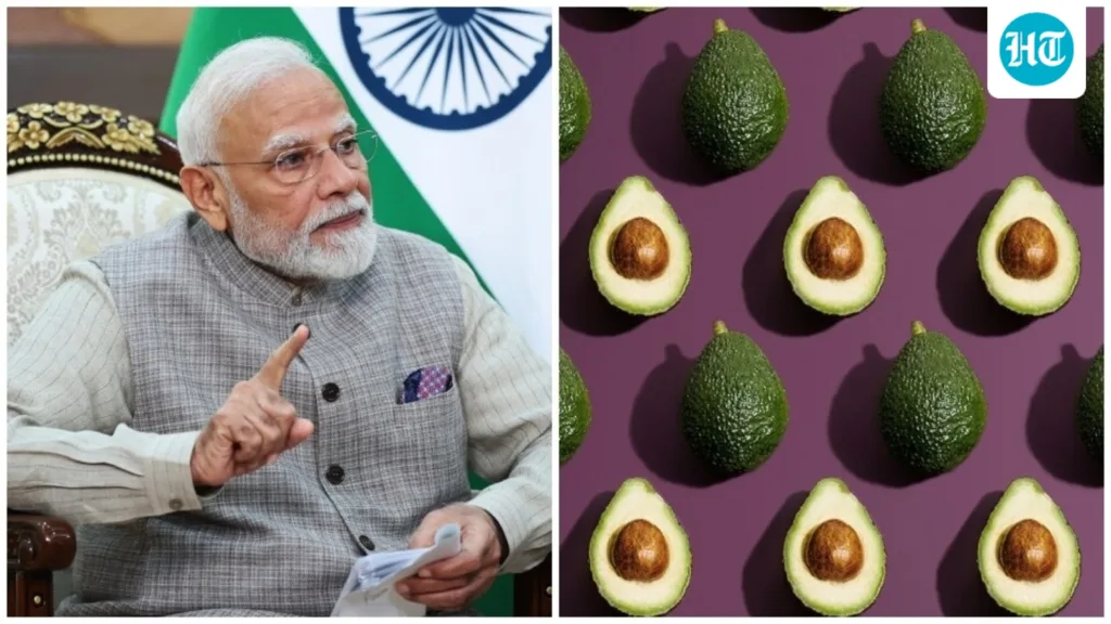 PM Narendra Modi praises the goodness of the ‘Indian avocados’: Here’s why you should include it in your diet PM Narendra Modi praises the goodness of the ‘Indian avocados’: Here’s why you should include it in your diet
