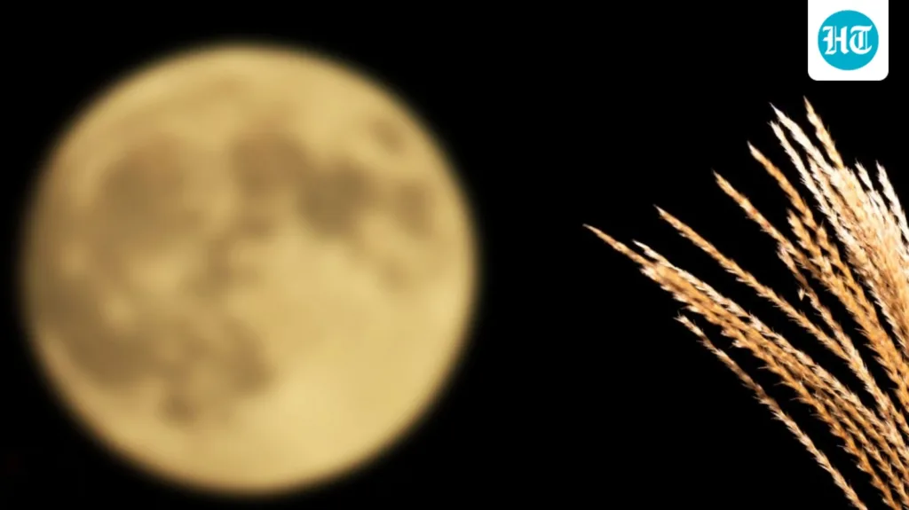 September Full Moon 2026: What makes the Harvest Moon special, and what does it mean spiritually?