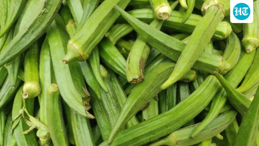 Skipping okra because of its slimy texture? Fitness coach Raj Ganpath shares 4 health benefits you’re missing out on Skipping okra because of its slimy texture? Fitness coach Raj Ganpath shares 4 health benefits you’re missing out on