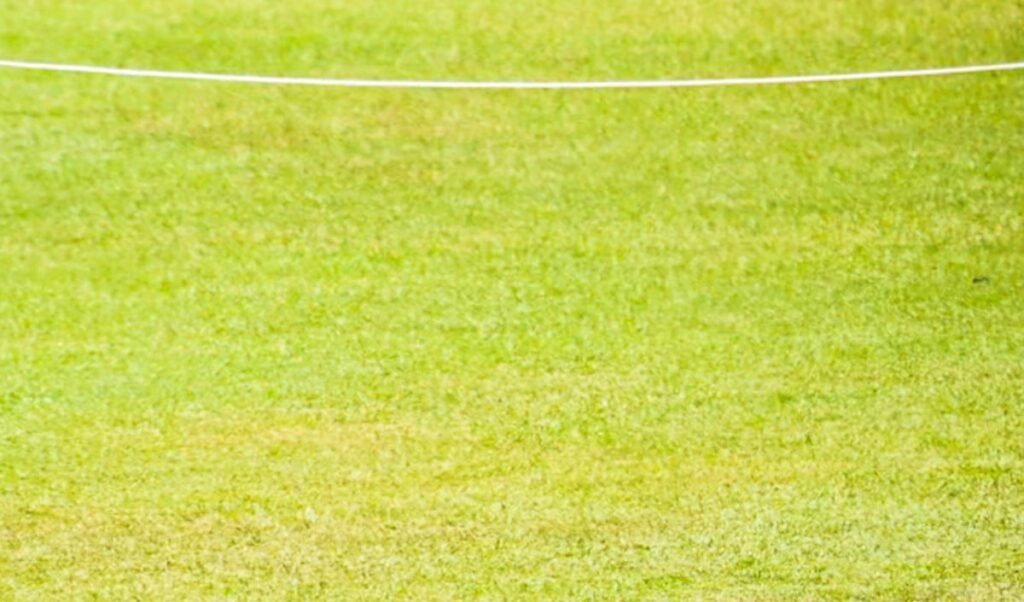T20 World Champion India के खिलाफ Japan ने घोषित की टीम, सानो में होगा महामुकाबला