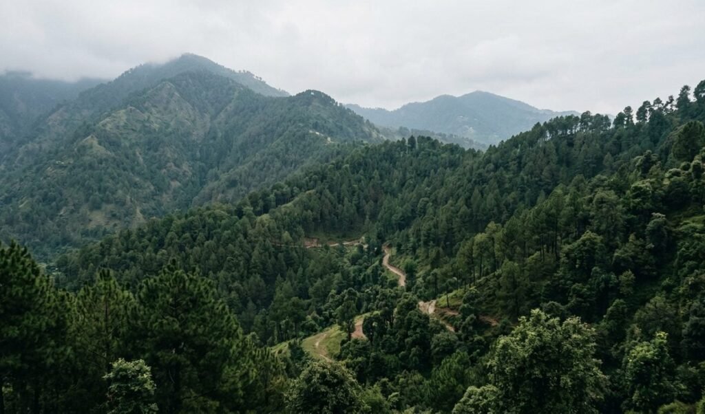 Udhampur के जंगल में सुरक्षाबलों ने Jaish e Mohammed के दो आतंकियों को मार गिराया Udhampur के जंगल में सुरक्षाबलों ने Jaish e Mohammed के दो आतंकियों को मार गिराया