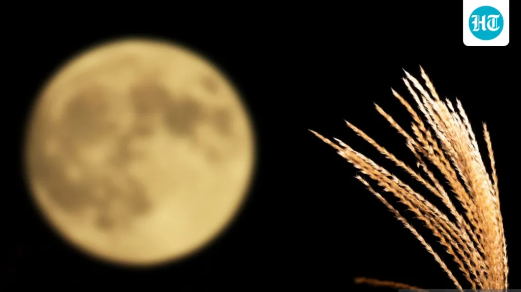 What day is the Harvest Moon in the US? Know the timings for California, New York, Connecticut, Florida and Michigan What day is the Harvest Moon in the US? Know the timings for California, New York, Connecticut, Florida and Michigan