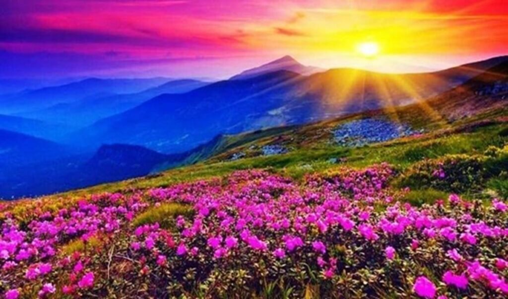 visit valley of flowers in august september check the cost and itinerary visit valley of flowers in august september check the cost and itinerary