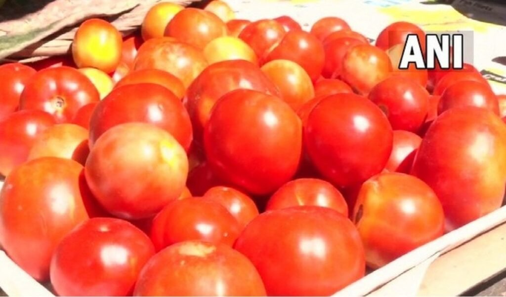 2000 किलो नकली Tomato Ketchup जब्त, एसिड और स्टार्च से तैयार हो रहा था सॉस