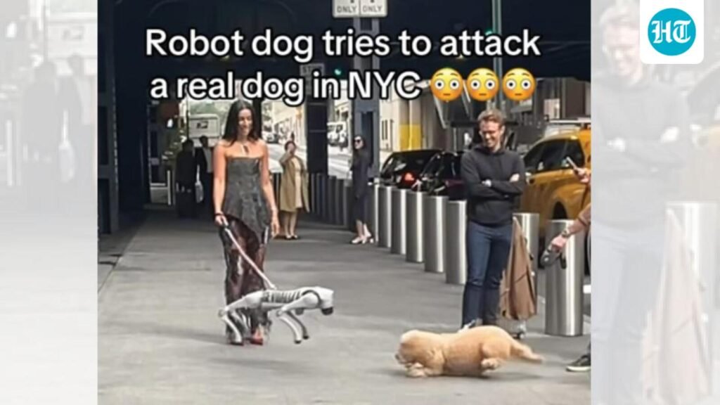 Bot bloopers: Why we can’t stop LOL-ing over robot fails Bot bloopers: Why we can’t stop LOL-ing over robot fails