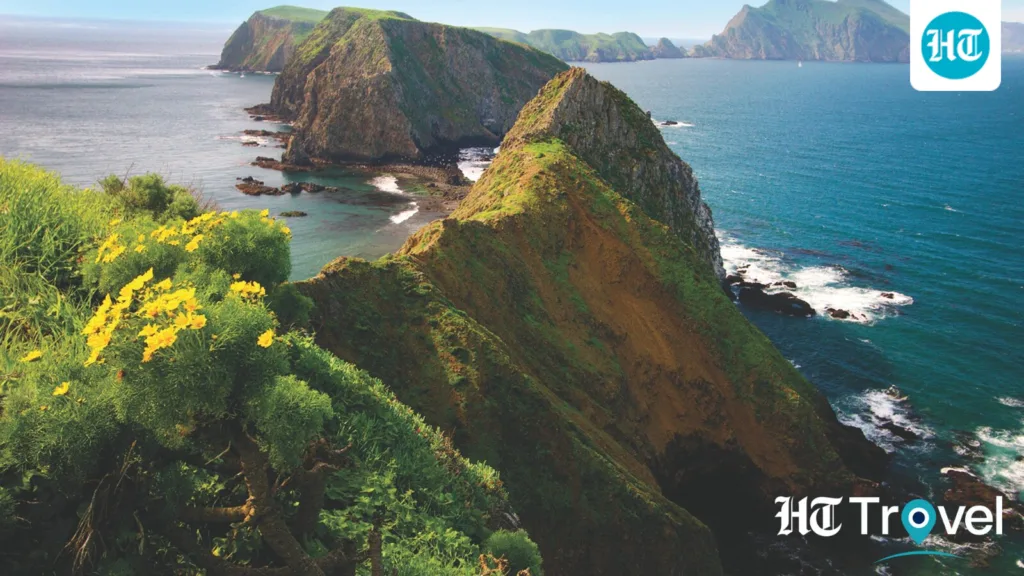 Destination Buzz: 10 California beaches for your next Pacific coast escape Destination Buzz: 10 California beaches for your next Pacific coast escape