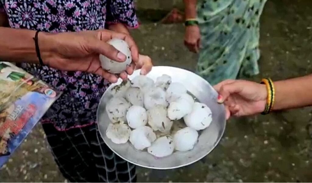 Haridwar Severe Hailstorm | हरिद्वार से देहरादून तक बिगड़े हालात, मूसलाधार बारिश और भीषण ओलावृष्टि से हाहाकार, मौसम विभाग का ‘येलो अलर्ट’ जारी Haridwar Severe Hailstorm | हरिद्वार से देहरादून तक बिगड़े हालात, मूसलाधार बारिश और भीषण ओलावृष्टि से हाहाकार, मौसम विभाग का ‘येलो अलर्ट’ जारी