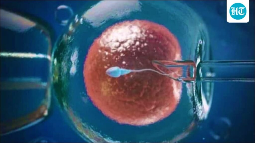 Is the ‘fertility detox’ a myth? Fertility specialist Dr Shikha Malik explains everything about cleansing before IVF
