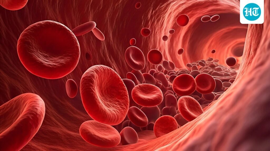 Peripheral vascular disease (PVD): Vascular surgeon Dr Rajiv Parakh explains the symptoms, risks, prevention, treatment