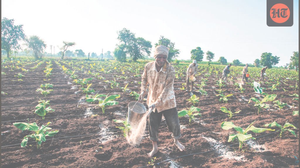 U-turn: The high cost of cheap urea U-turn: The high cost of cheap urea