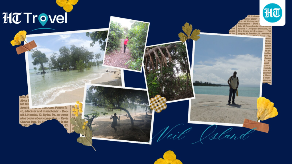 Why Neil Island was my favourite pause between Port Blair and Havelock during my Andaman trip Why Neil Island was my favourite pause between Port Blair and Havelock during my Andaman trip